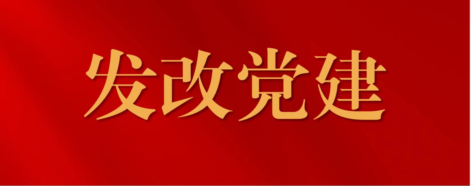 发改党建
